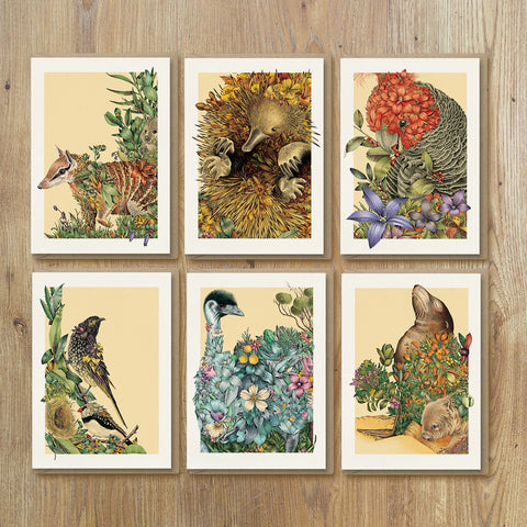 Australian Adventure - Greeting Card Set 1