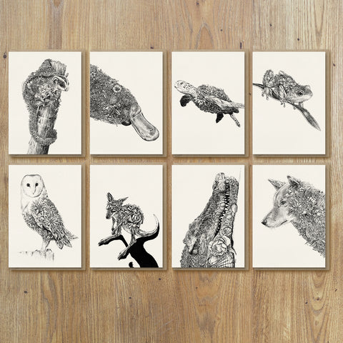 Wildlife of Australia - Greeting Card Set (SALE!)