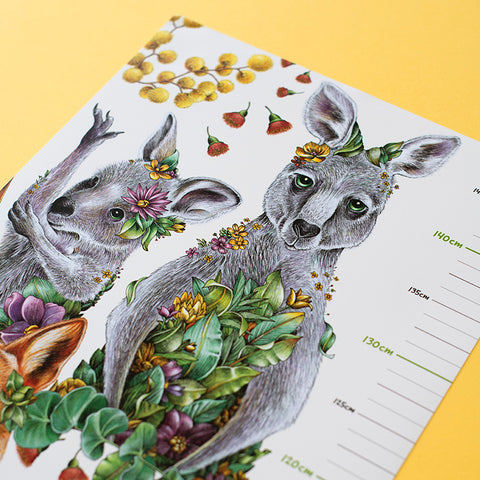 Height Chart – Australian Wildlife