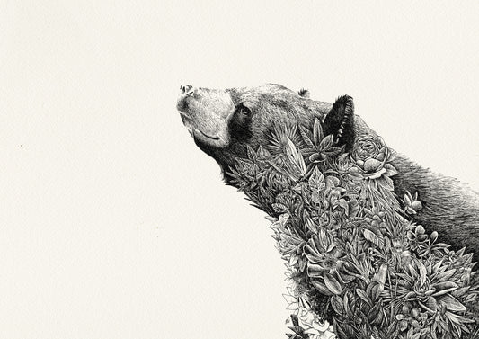 Asiatic Black Bear- Giclée Print