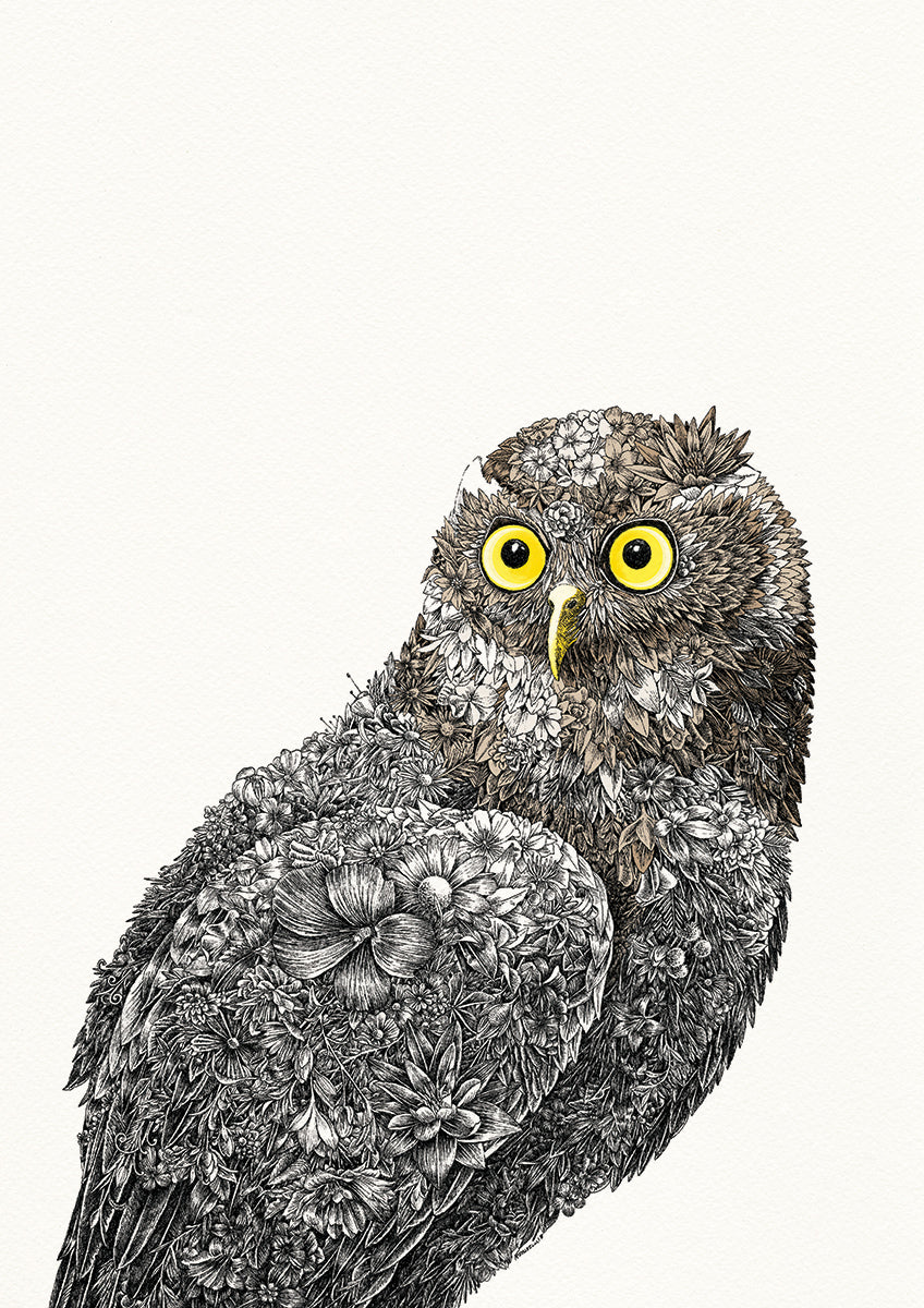 Barking Owl - Giclée Print