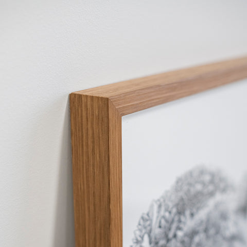 Brown Bear - Framed (Pick Up In-store Only)