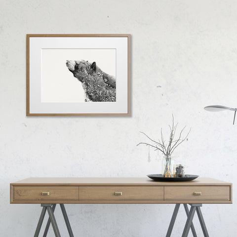 Asiatic Black Bear- Giclée Print