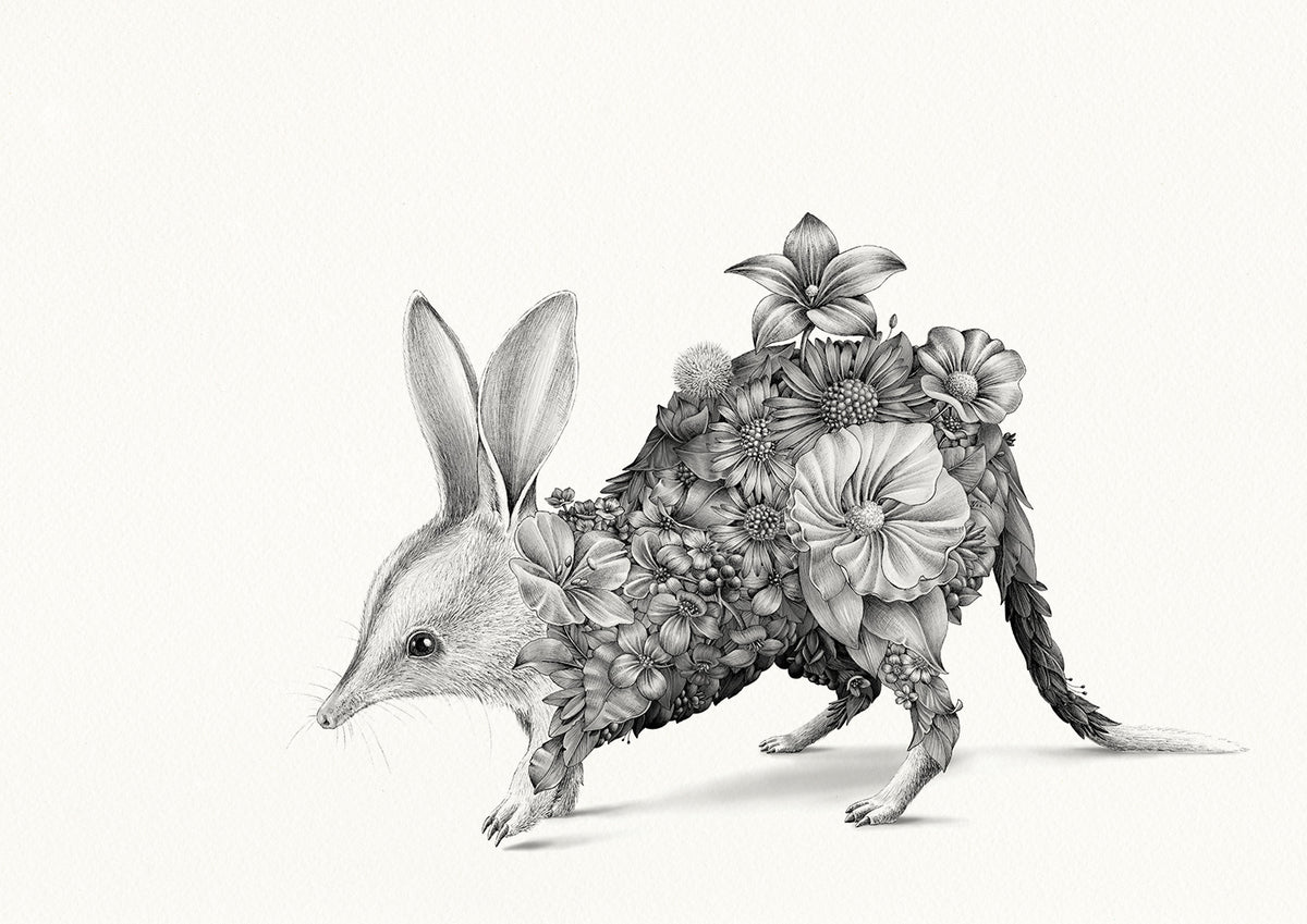 Bilby Bushwalk - Giclée Print