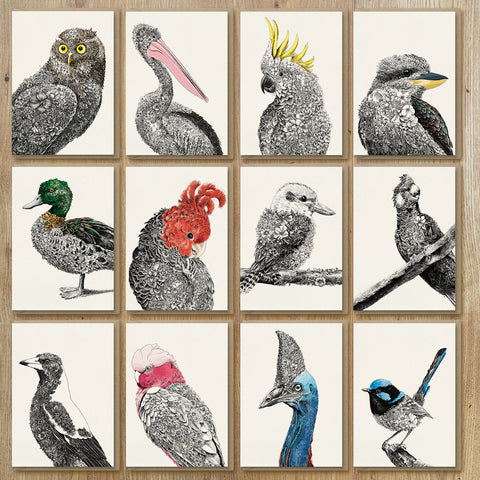 Birds of Australia - Greeting Card Set