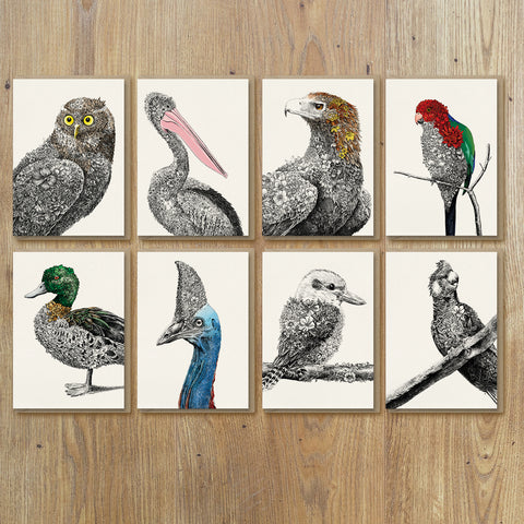 Australian Birds - Greeting Card Set