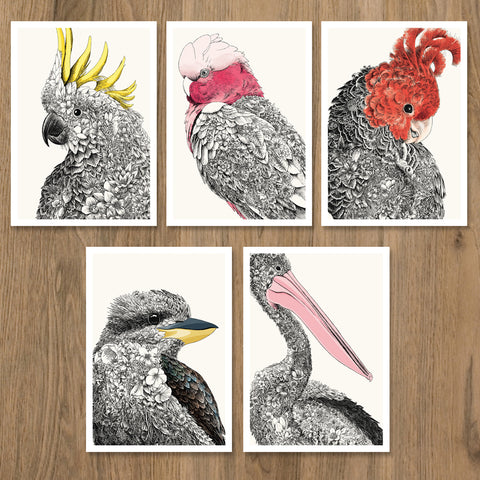 Australian Birds - Postcard Set