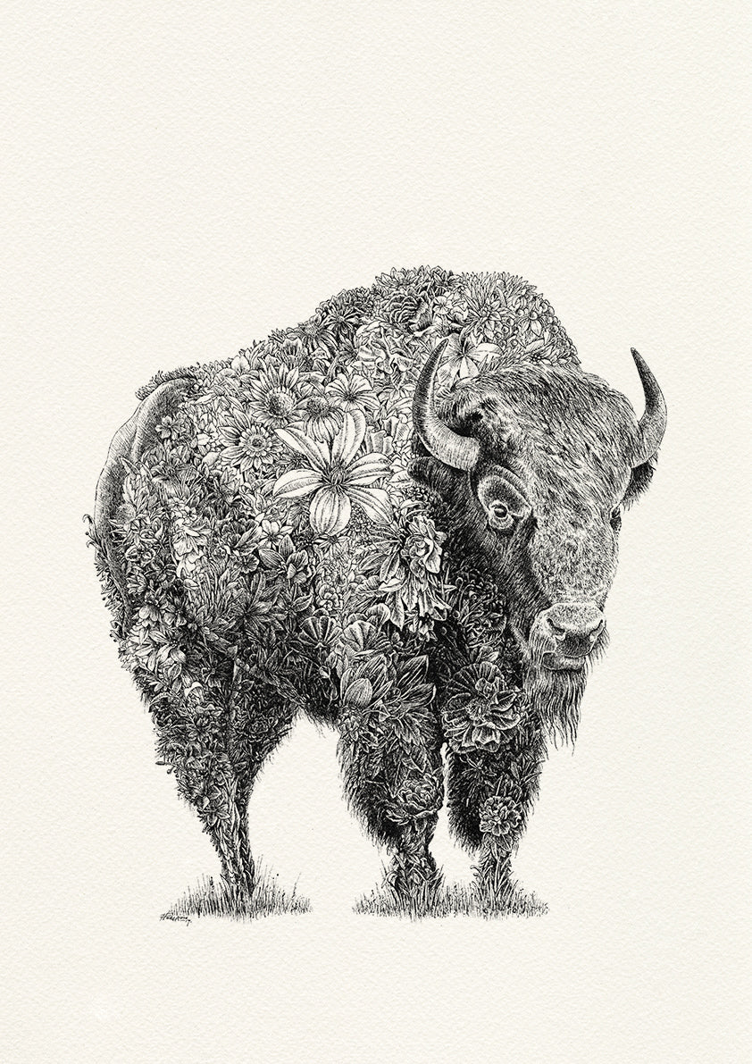 American Bison - Giclée Print