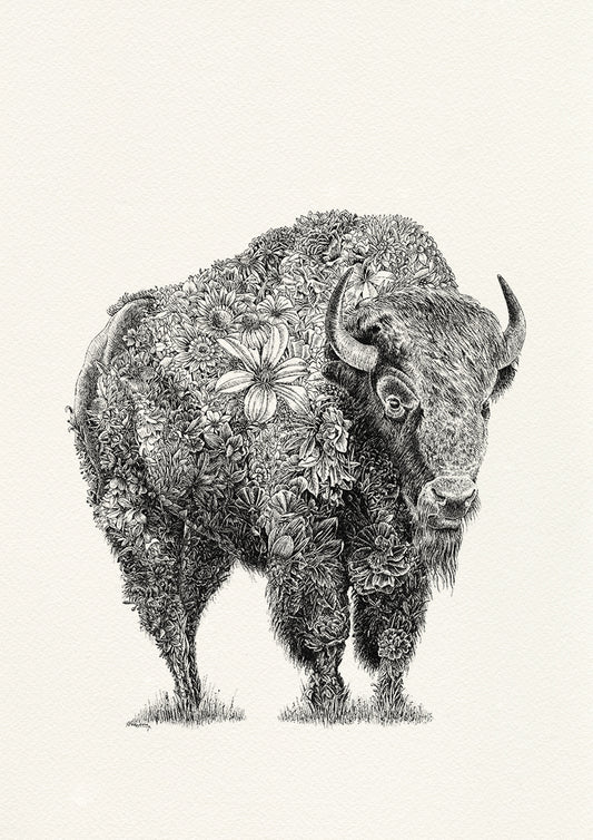 American Bison - Giclée Print