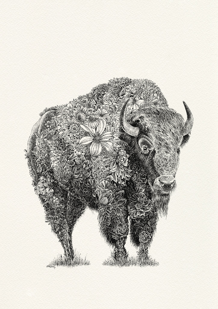 American Bison - Giclée Print