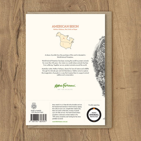 American Bison - Greeting Cards