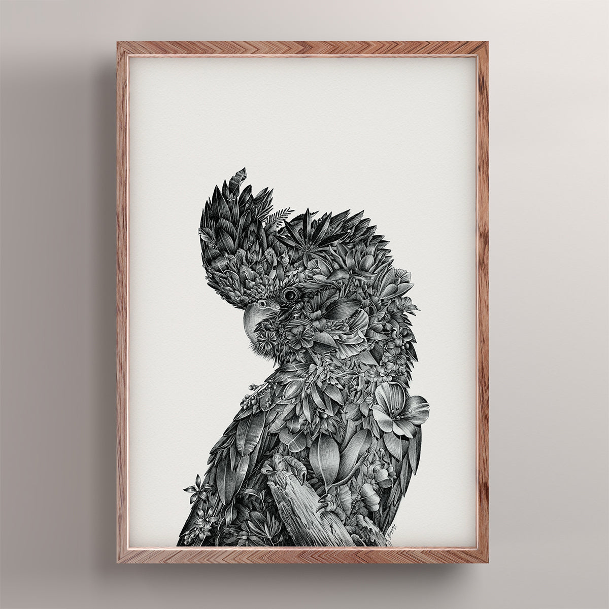 Red-tailed Black Cockatoo - Giclée Print (Black & White)