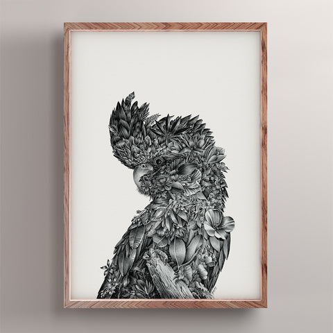 Red-tailed Black Cockatoo - Giclée Print (Black & White)