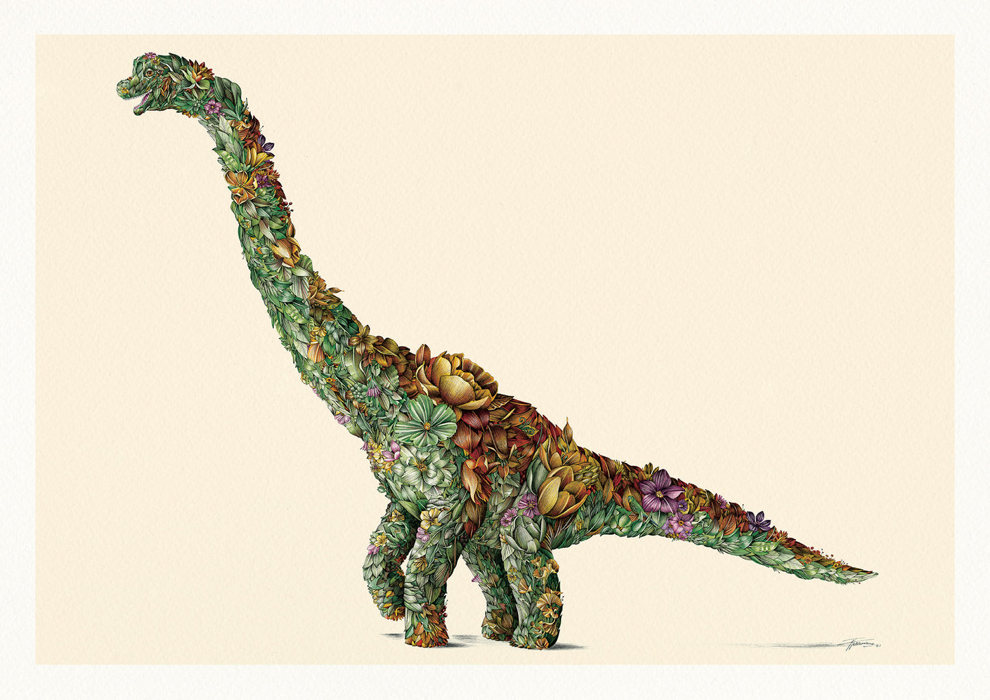 Brachiosaurus - Print