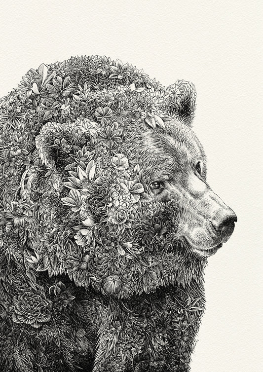 Brown Bear - Giclée Print