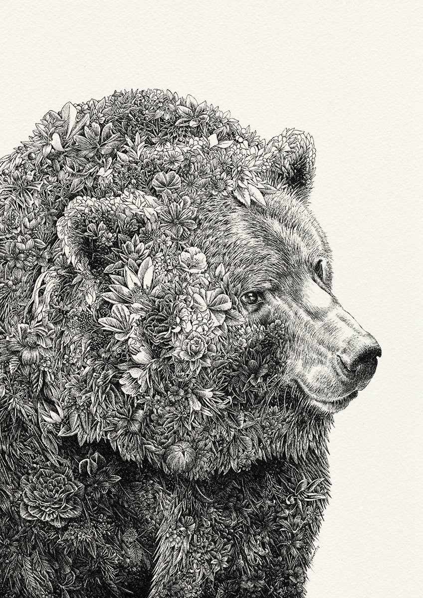 Brown Bear - Framed (Pick Up In-store Only)