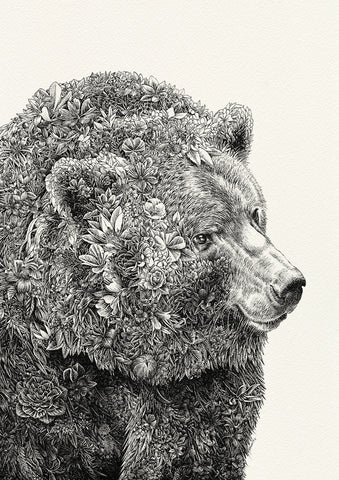 Brown Bear - Framed (Pick Up In-store Only)