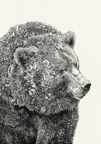 Brown Bear - Giclée Print