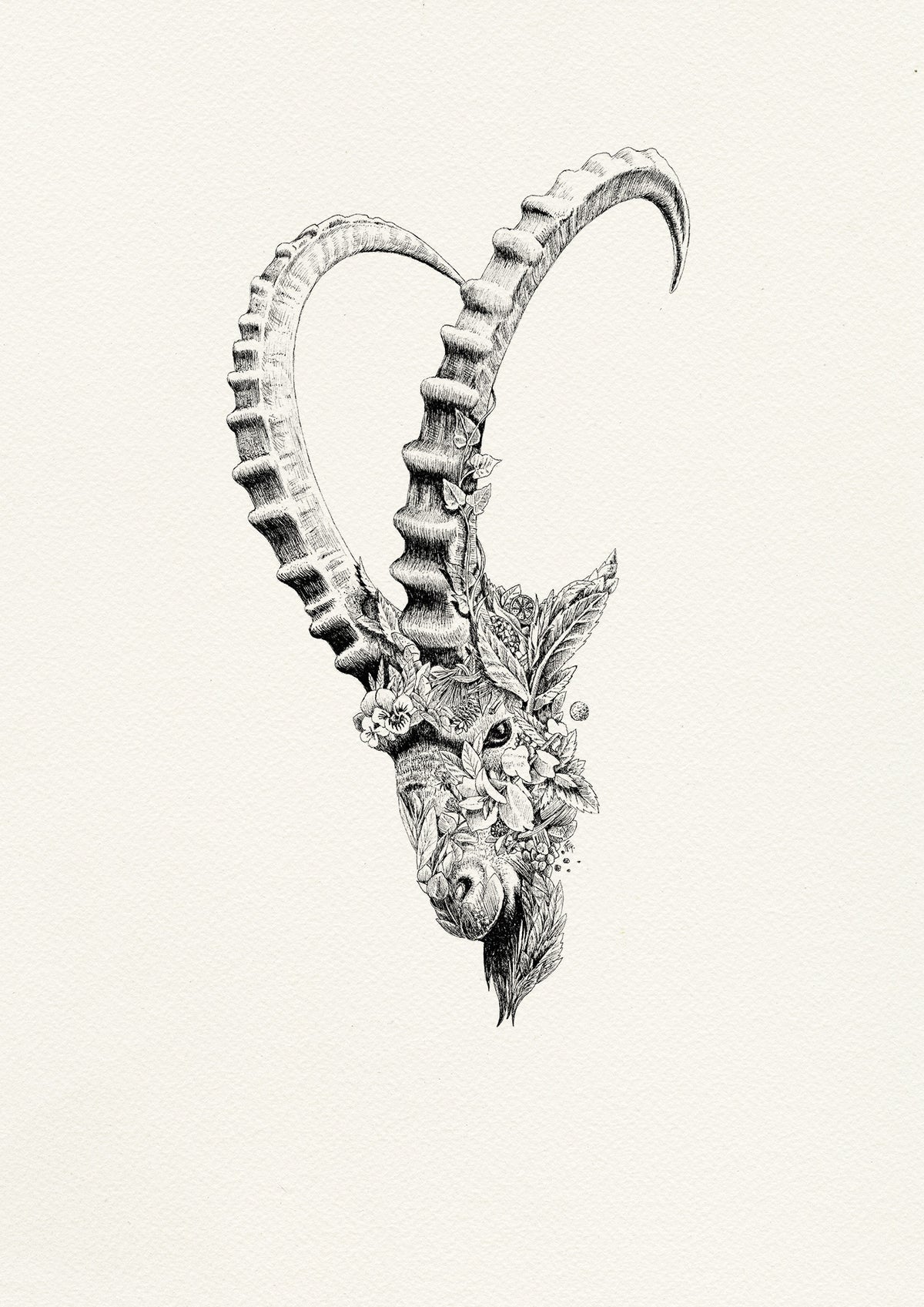 Capricorn - Giclée Print