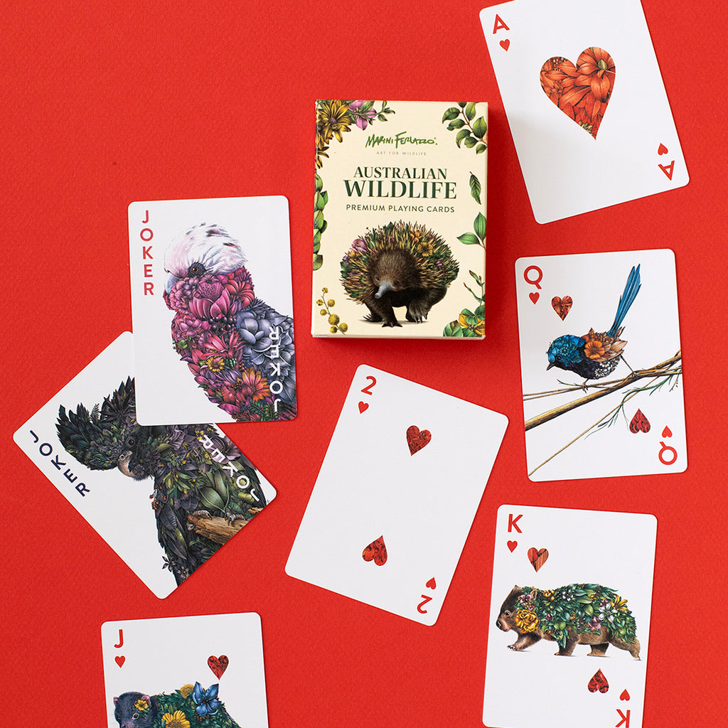 Playing Cards Australian Wildlife Marini Ferlazzo Art For Wildlife playing-cards-australian-wildlife-marini-ferlazzo-art-for-wildlife
