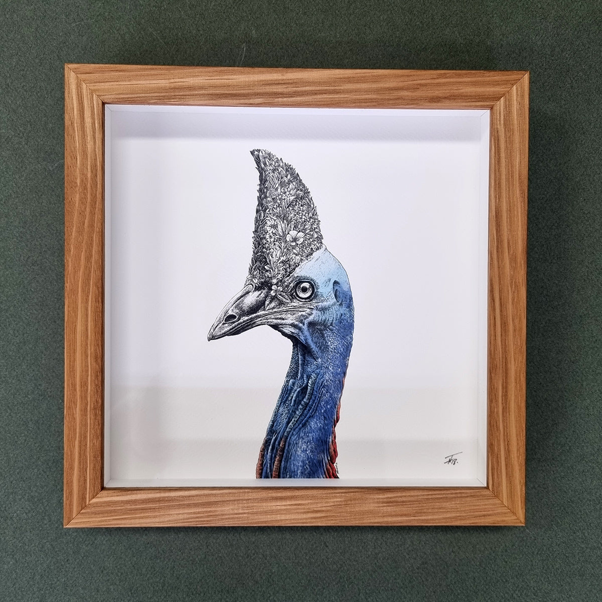 Cassowary – Framed Print