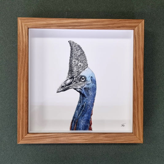 Cassowary – Framed Print