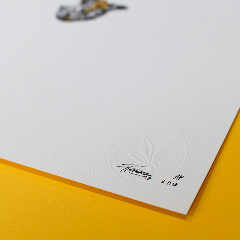 Cheetah Cub - Artist Proof