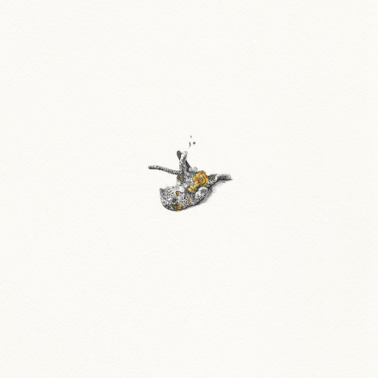 Cheetah Cub - Artist Proof