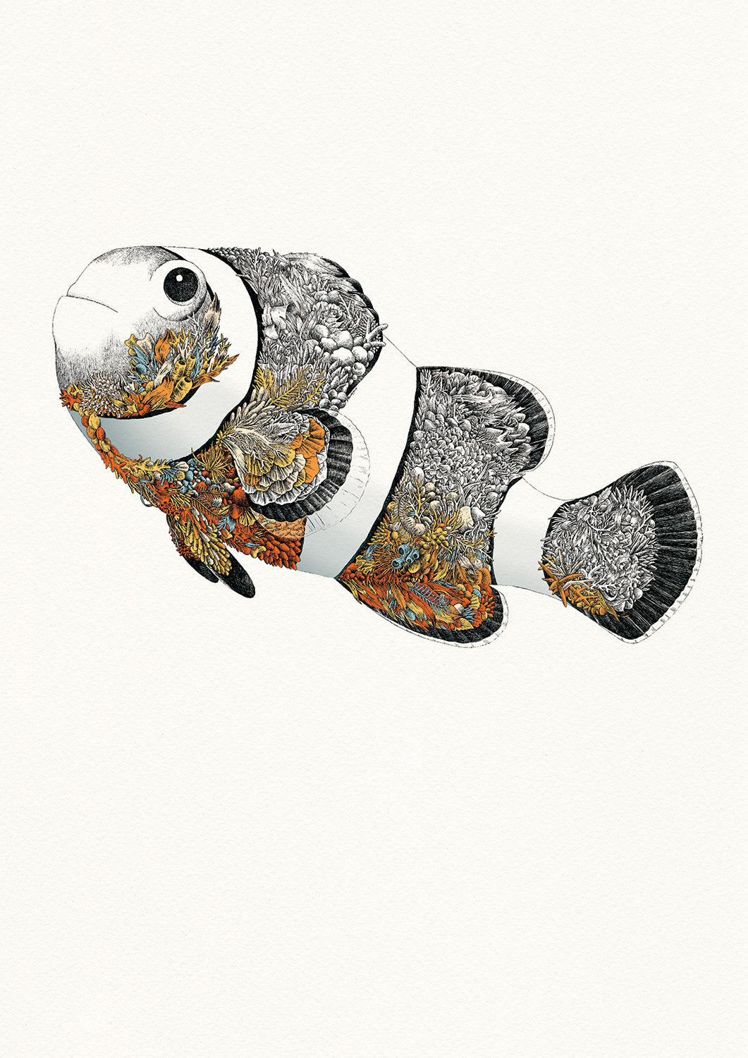 Clownfish - Giclée Print