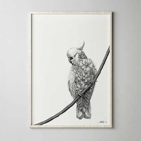 Cockatoo Bushwalk - Giclée Print