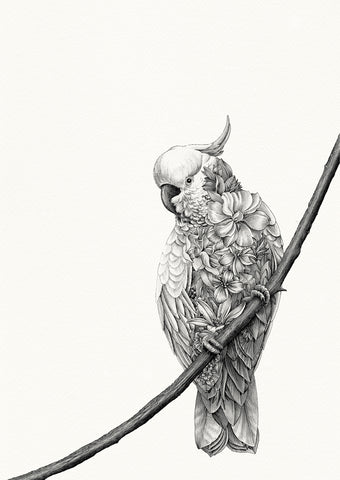 Cockatoo Bushwalk - Giclée Print