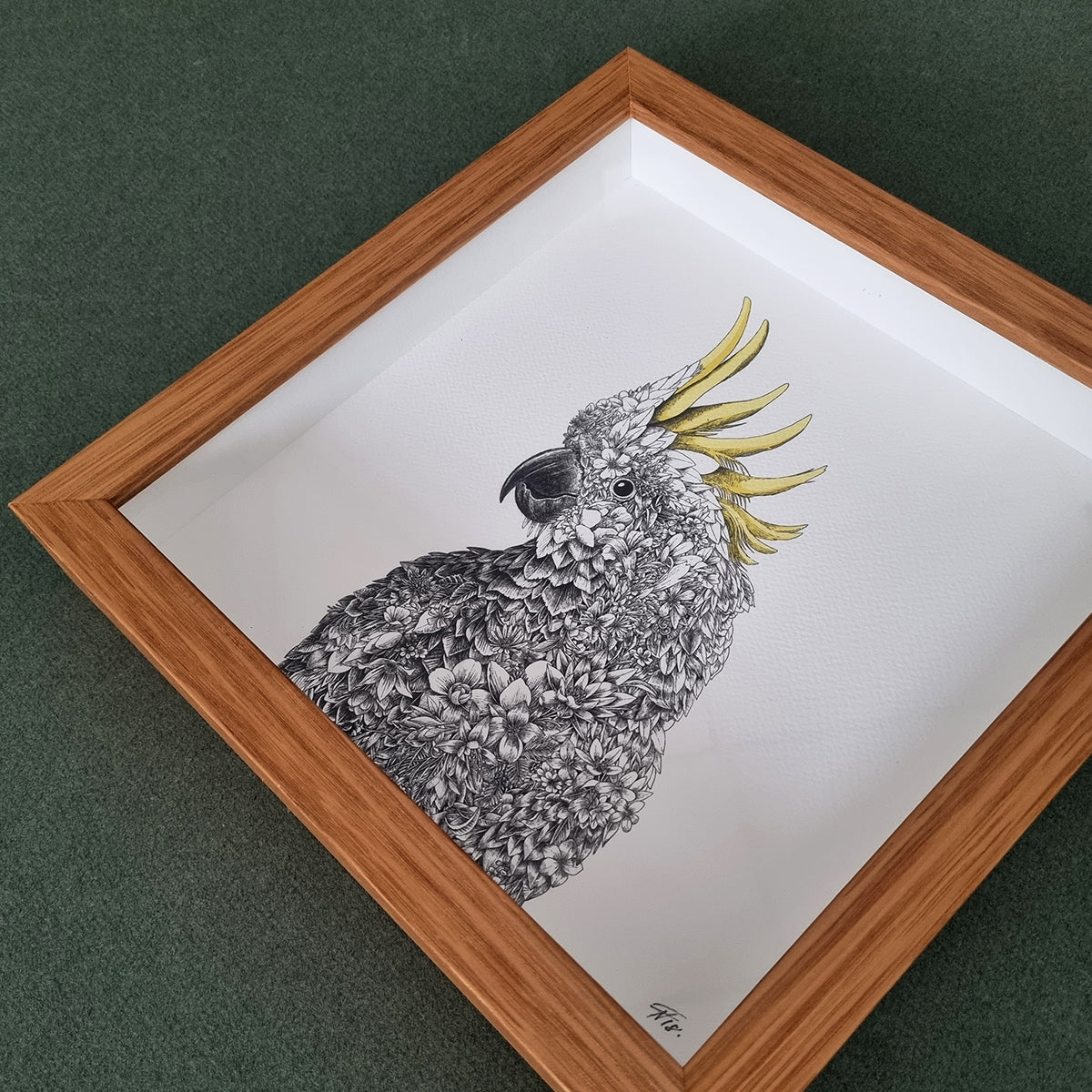 Sulphur-crested Cockatoo – Framed Print