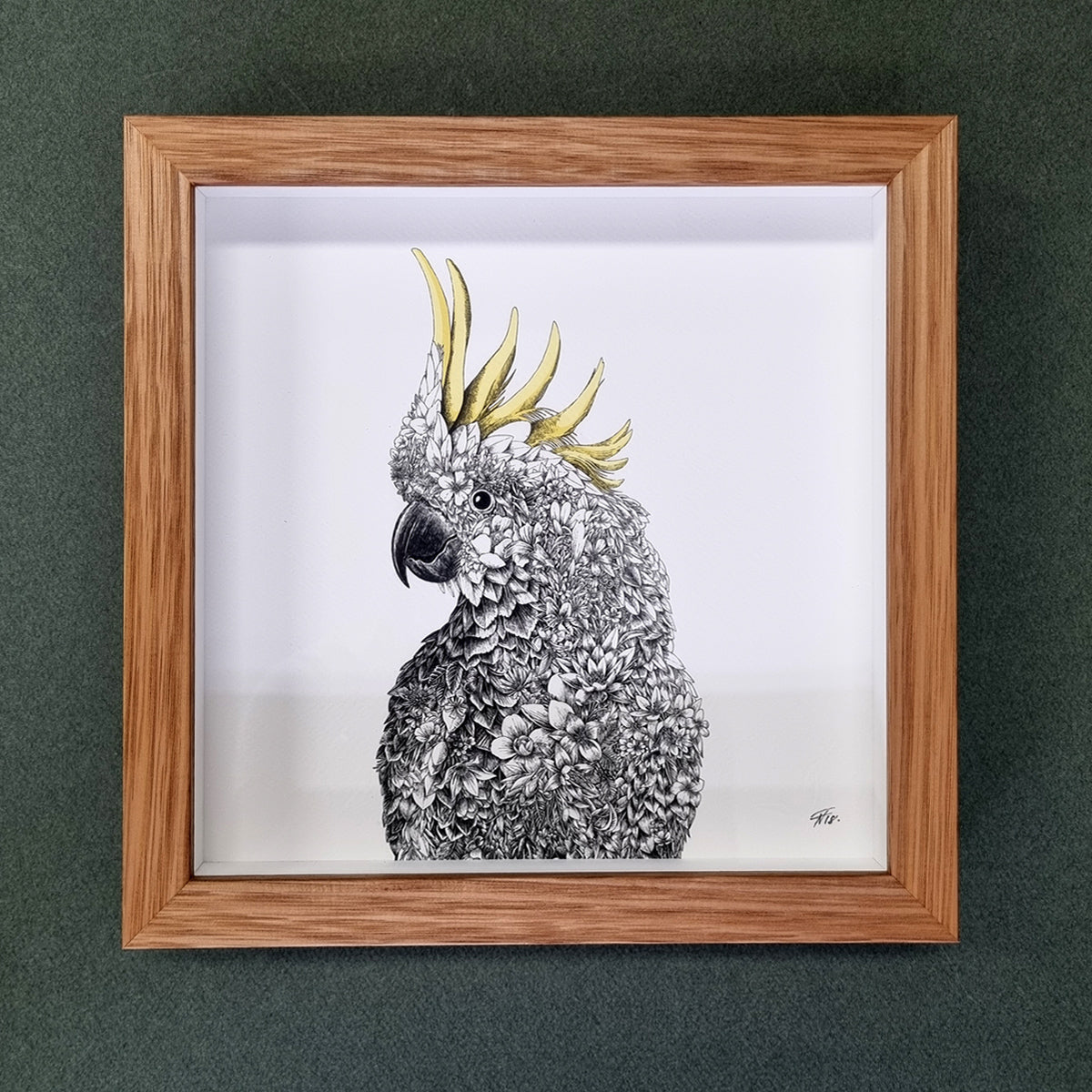 Sulphur-crested Cockatoo – Framed Print