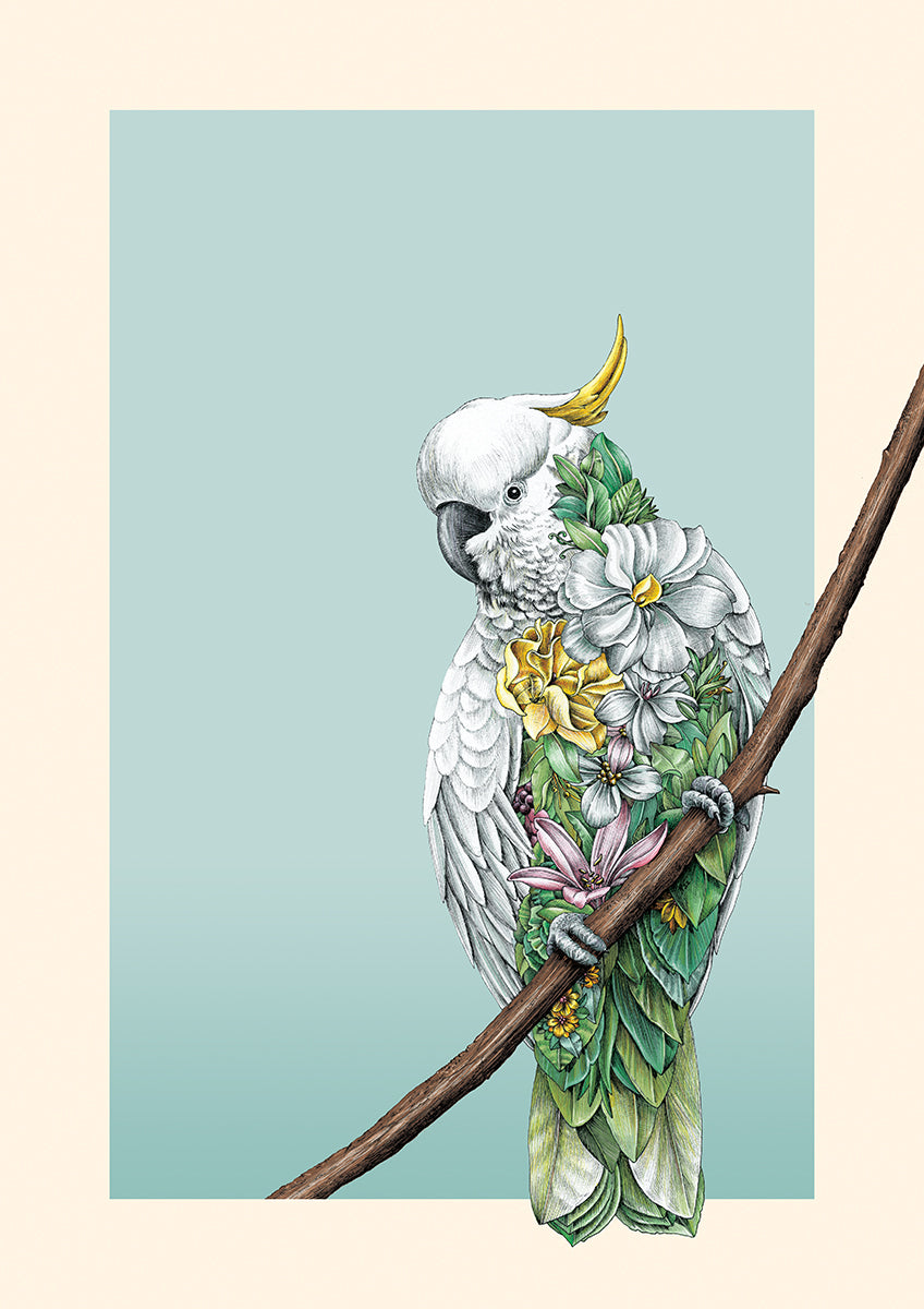 Cockatoo Bushwalk - Giclée Print
