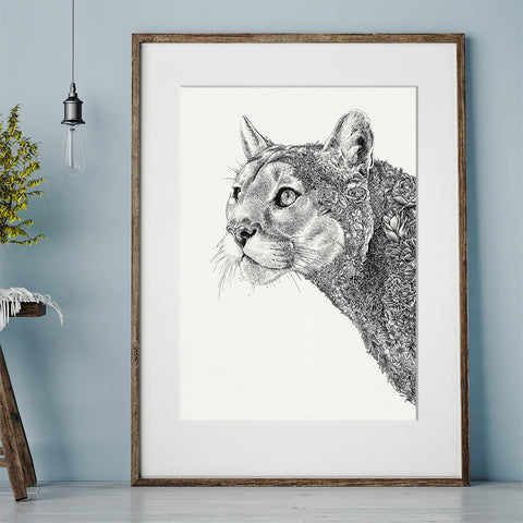 Cougar - Giclée Print