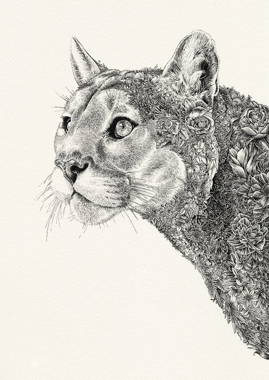 Cougar - Giclée Print