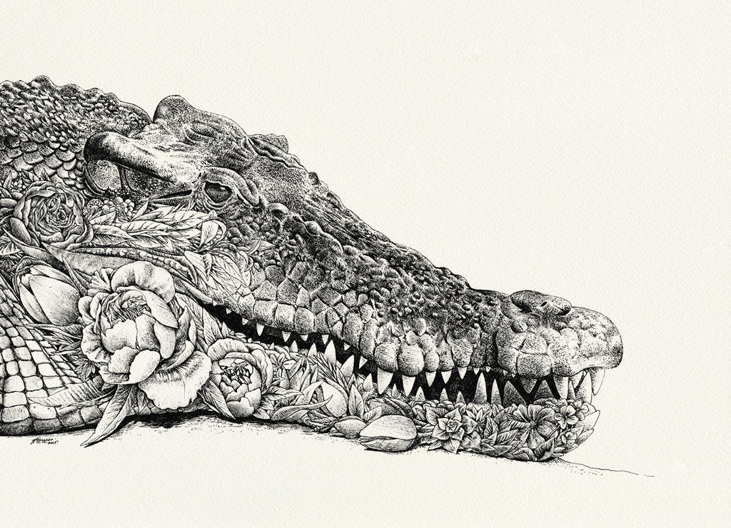 Saltwater Crocodile by Nathan Ferlazzo