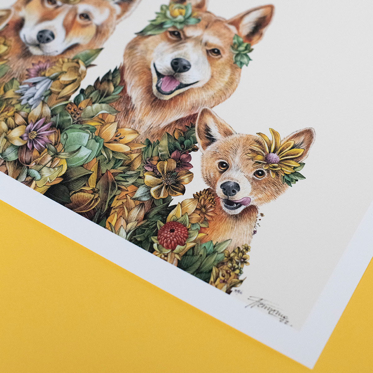 Dingo Family - Giclée Print