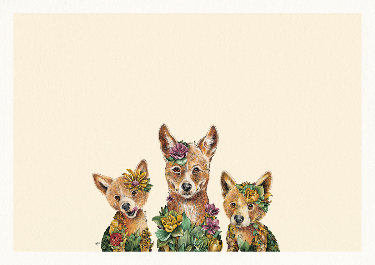 Dingo Family - Giclée Print