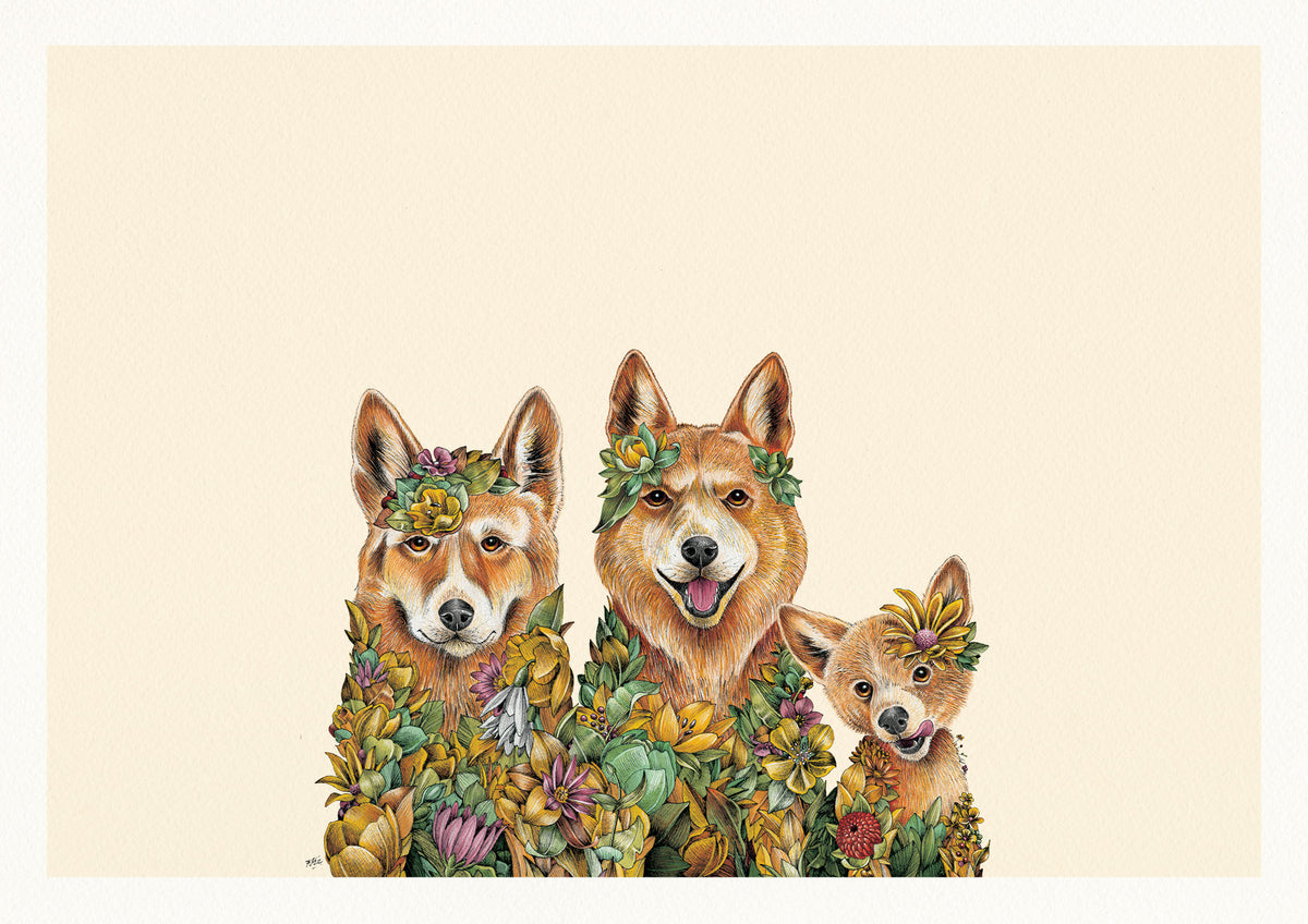 Dingo Family - Giclée Print