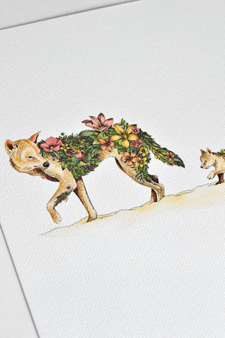 Dingo & Pups - Giclée Print