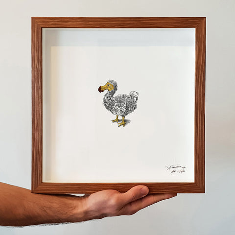 Dodo - Artist Proof