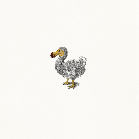 Dodo - Artist Proof