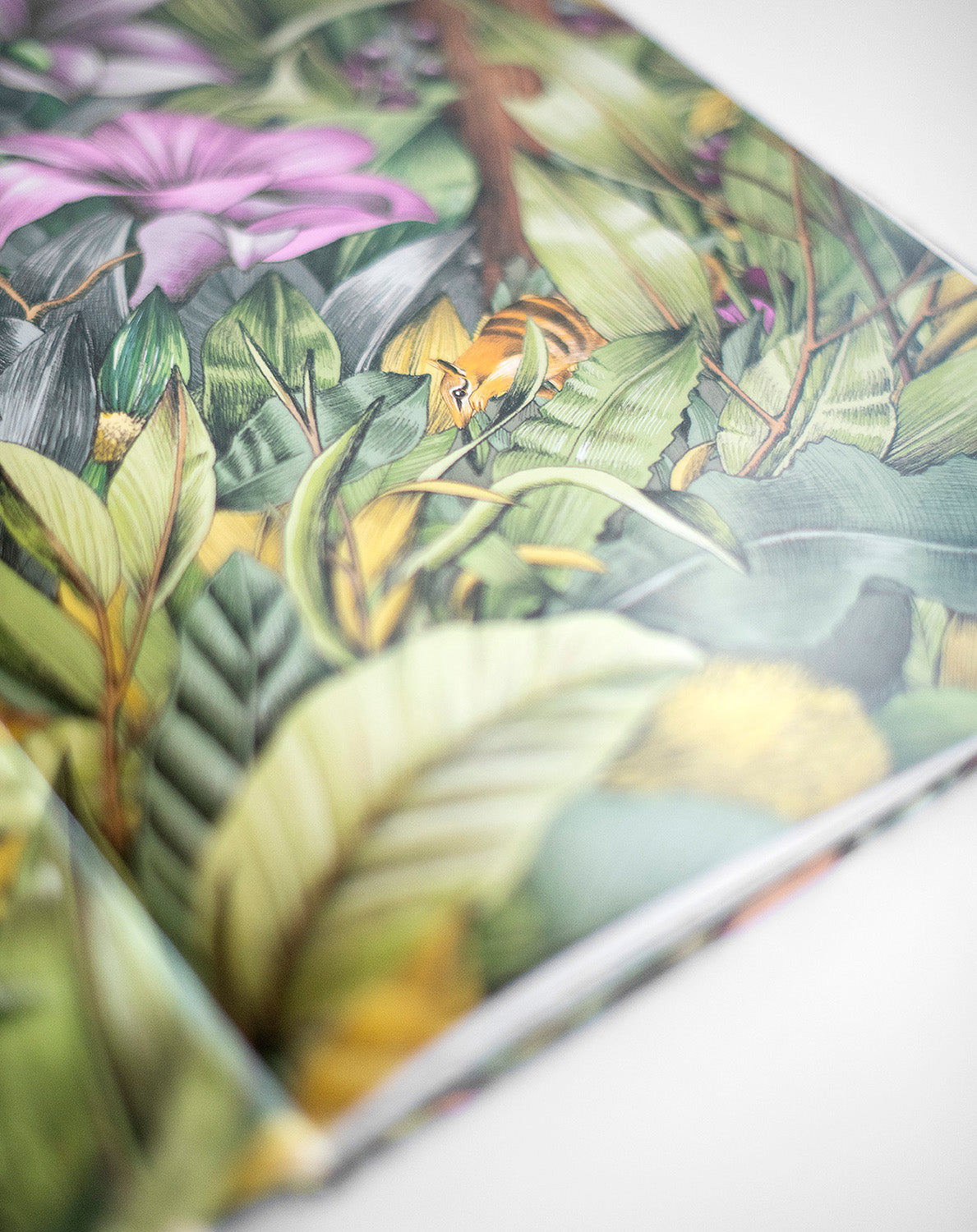 Nelly the Numbat, Australia Search & Find – Children's Book