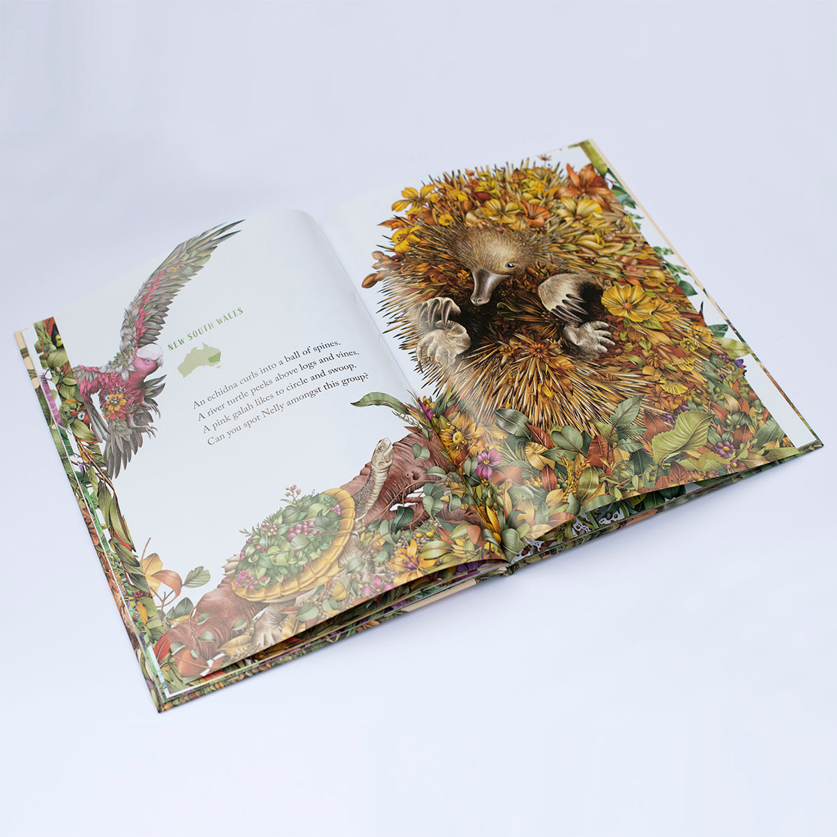 Nelly the Numbat, Australia Search & Find – Children's Book