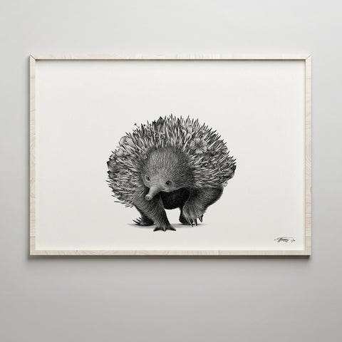 Echidna Bushwalk - Giclée Print