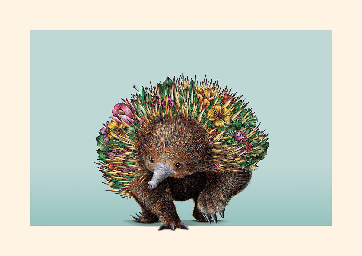 Echidna Bushwalk - Giclée Print