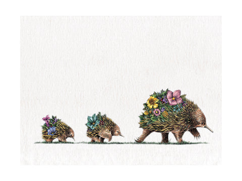 Echidna & Puggles - Tea Towel