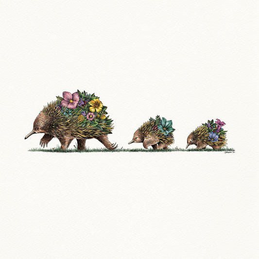Echidna & Puggles - Giclée Print