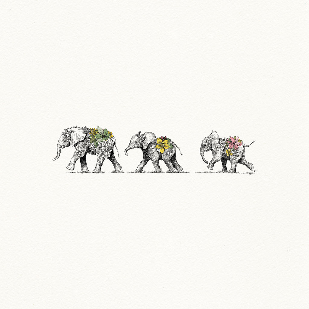 Elephant Calves - Artist Proof